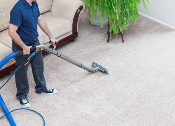 Everything You Need To Know About Professional Carpet Cleaners