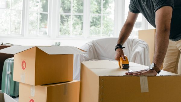 What Important Things Are Cared By Professional Removal Specialists?